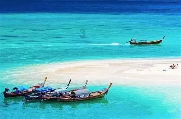 小红帽的冒险之旅